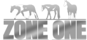 Zone One logo nav